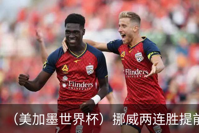 （美加墨世界杯）挪威两连胜提前出线 约旦遭逆转提前出局